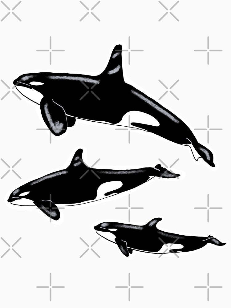 Whale Pod by annikabee