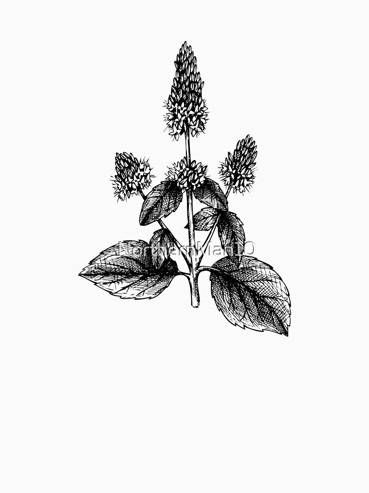 Vintage Botanical Flower Illustration – Monochrome Nature Art by NorthernMan10