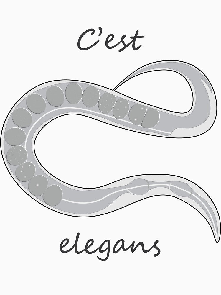 C'est elegans by diceytees