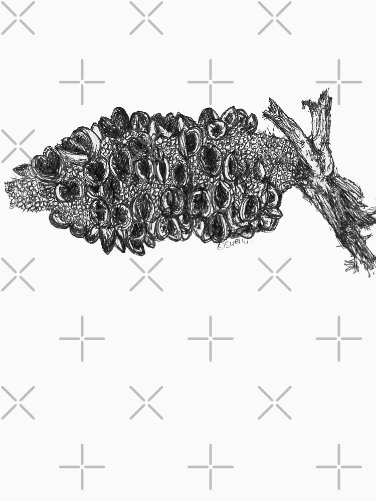 Banksia Pod by Wildcard-Sue