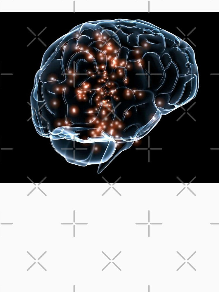 Neuroscience Active brain circuits by LuluLeb