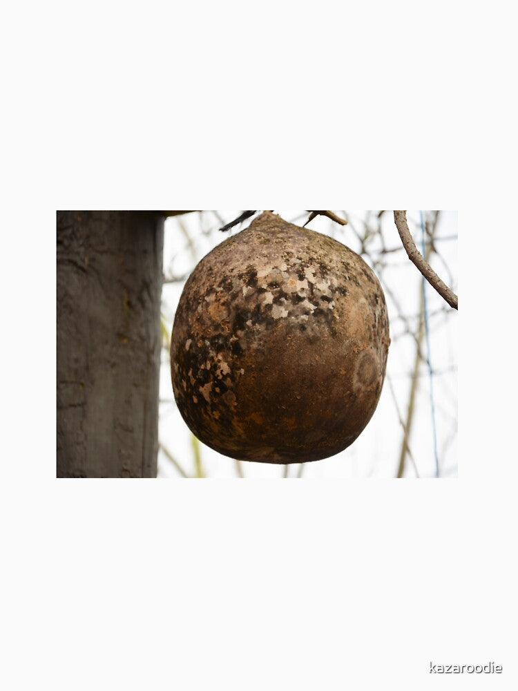 GOURD by kazaroodie