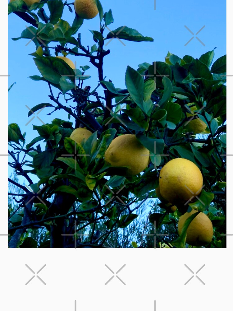 Lovely Lemontree by KazM