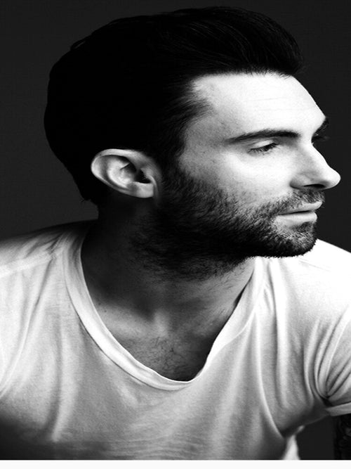 Adam Levine,Most Popular,Trending,Google Trend,Redbubble,Etsy,Ebay,amazone,Tiktok,Shopping 13 by alkamhfashion