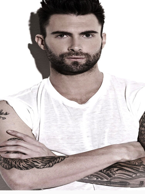 Adam Levine,Most Popular,Trending,Google Trend,Redbubble,Etsy,Ebay,amazone,Tiktok,Shopping 6 by alkamhfashion