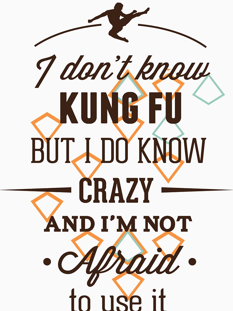 kung fu by ducili1987