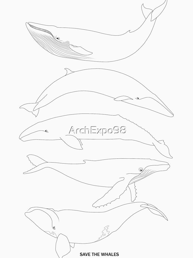 Pod Row by ArchExpo98