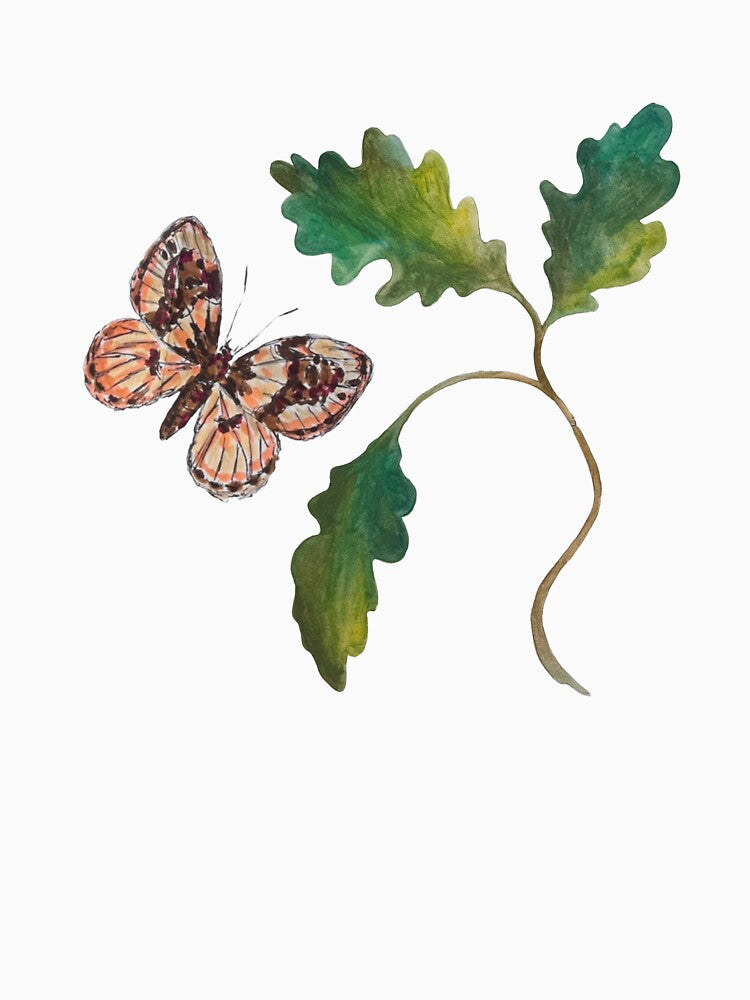 Butterfly and oak by Raindropotmoon