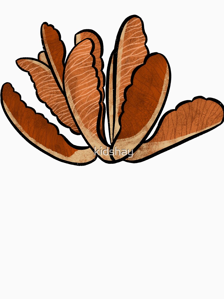 Seed pod by kidshay