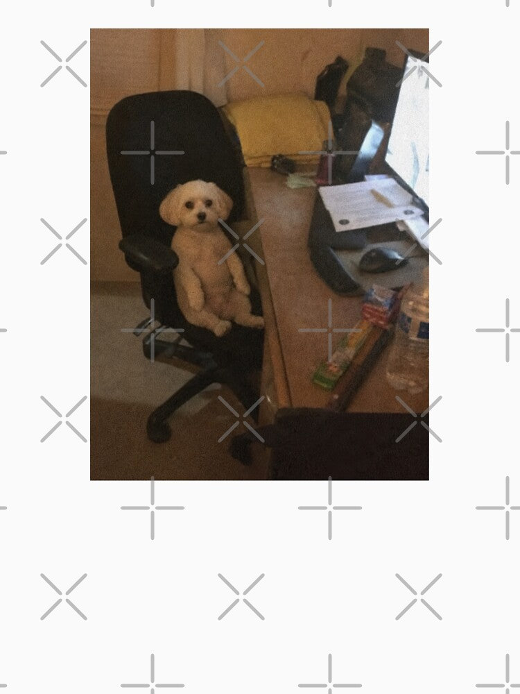 Small Dog Sitting Upright in Chair by Flying Doggo