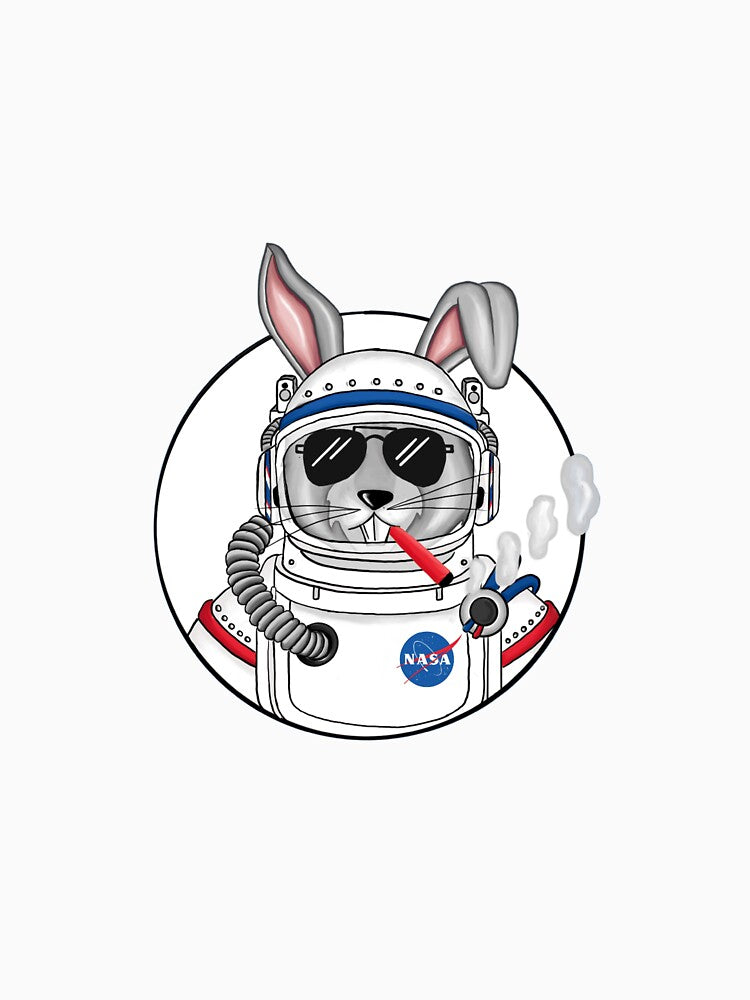 space rabbit by Clases 3mundo