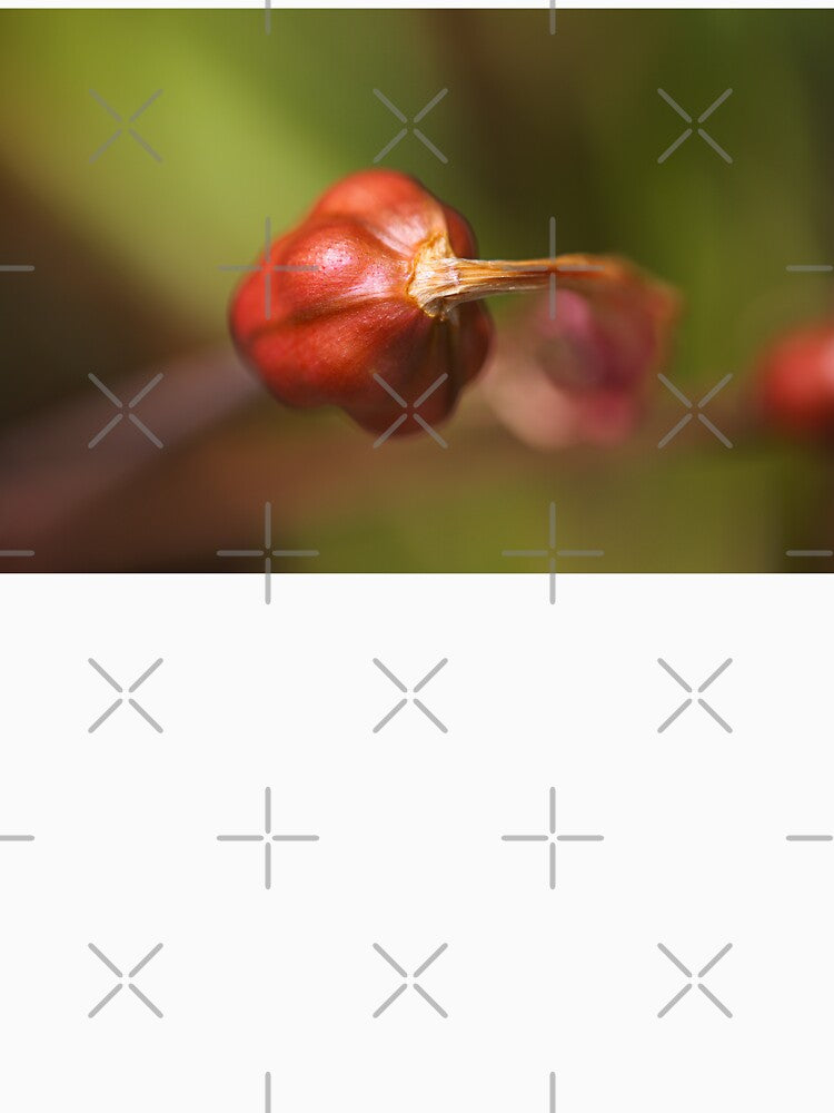 Lily Flower Seed Pod Red by Joy Watson - Natural Light Photography