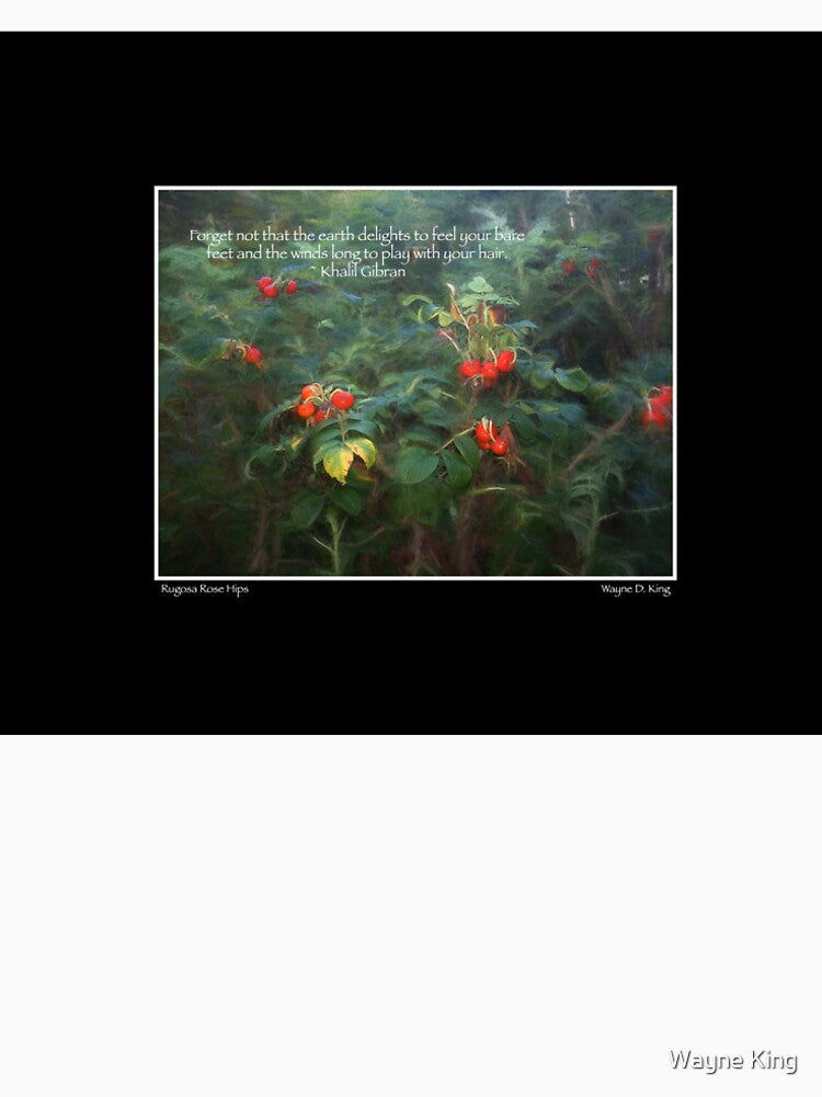 Rugosa Rose Hips Gibran Fine Art Poster by Wayne King