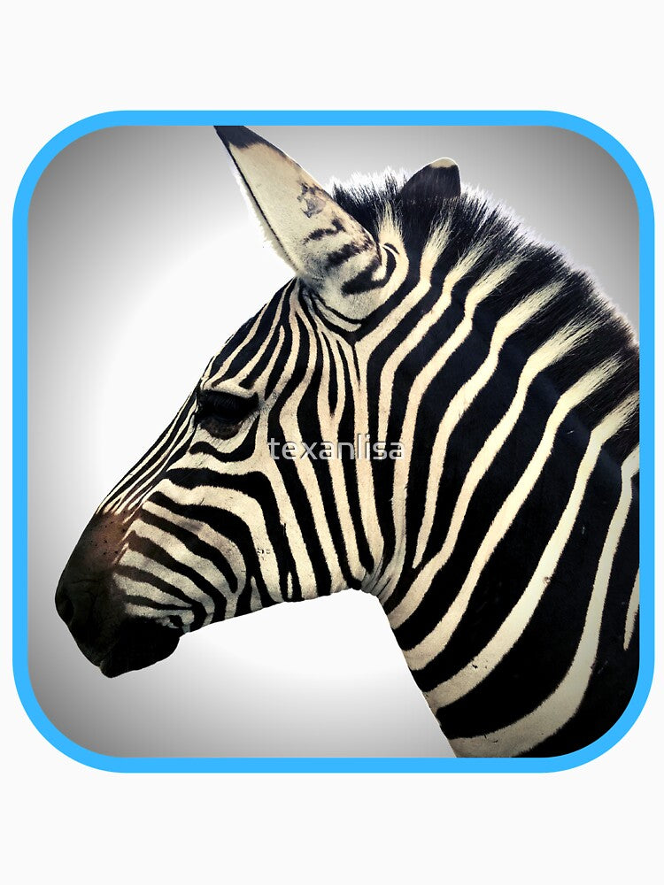 Zebra Original Photography Art by Texanlisa by speakupandshine