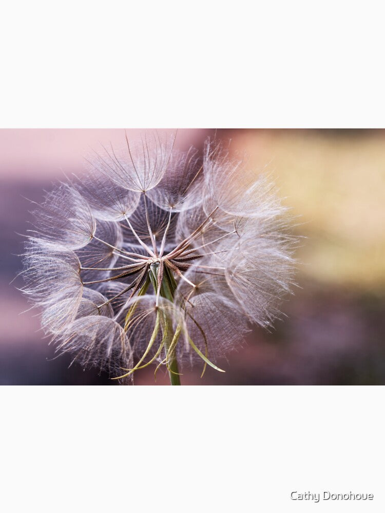 Dandelion Wishes by Cathy Donohoue