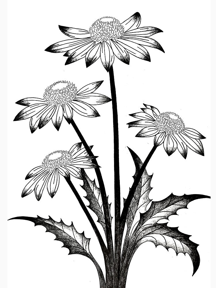 Black and White Botanical Flower Illustration - Hand Drawn Ink Art by GTeoArt