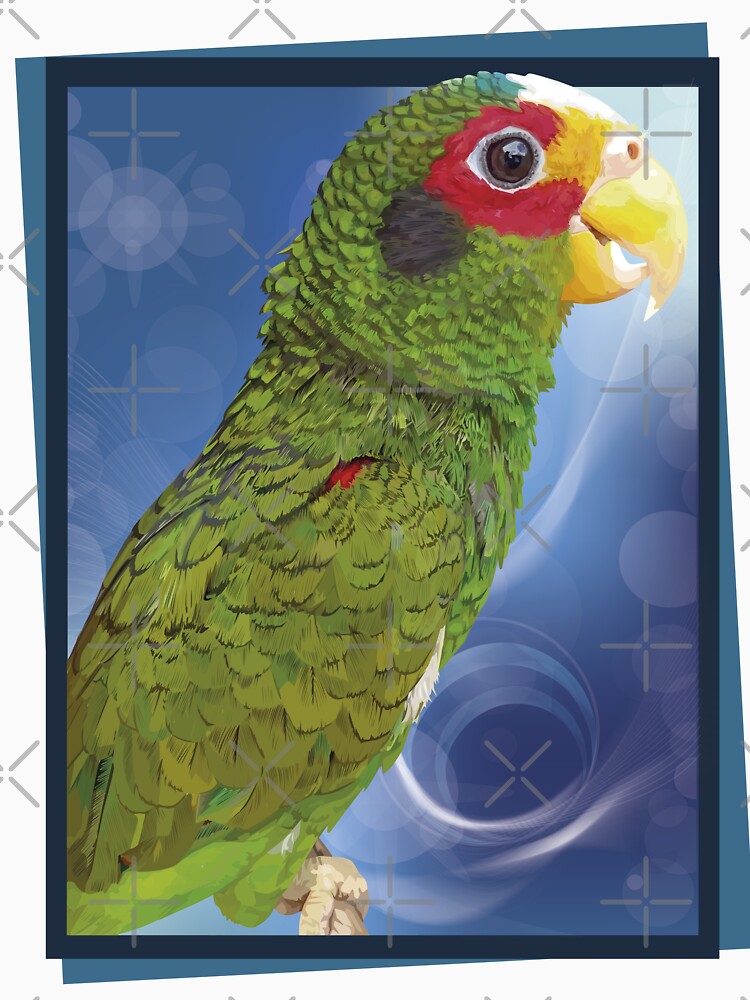 the yucatecan parrot by obscurite