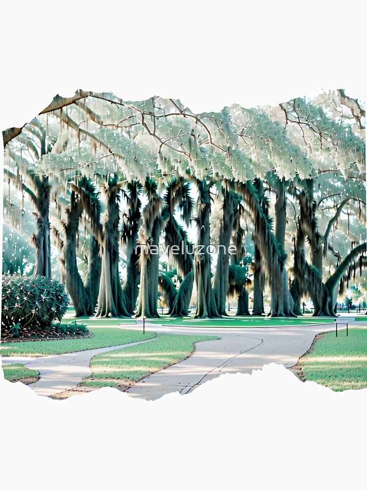 LOUISIANA 24 12 by maveluzone