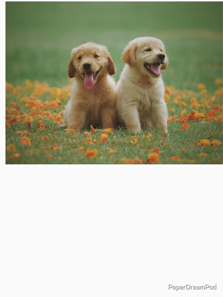 Happiness from two cute dogs. by PaperDreamPod