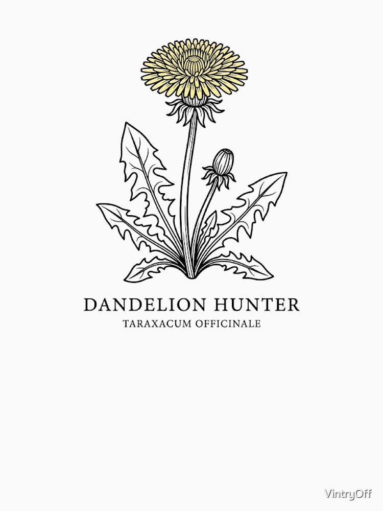 Botanical Dandelion Study: Minimalist Line Art, urban foraging, T-shirt by VintryOff