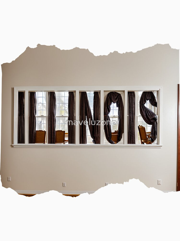 ILLINOIS 24 19 by maveluzone