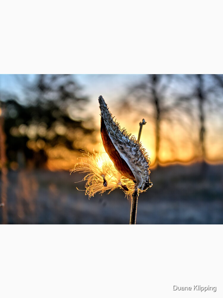 Pod Sunrise by LynyrdSky