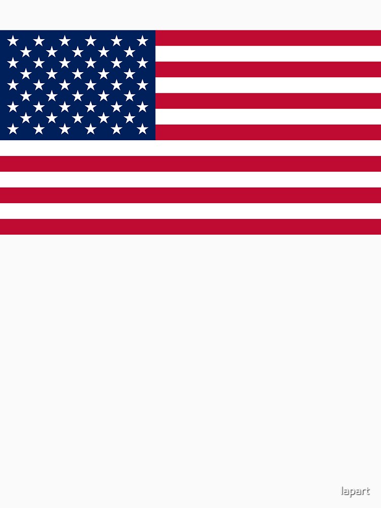 American Flag - USA FLAG by lapart