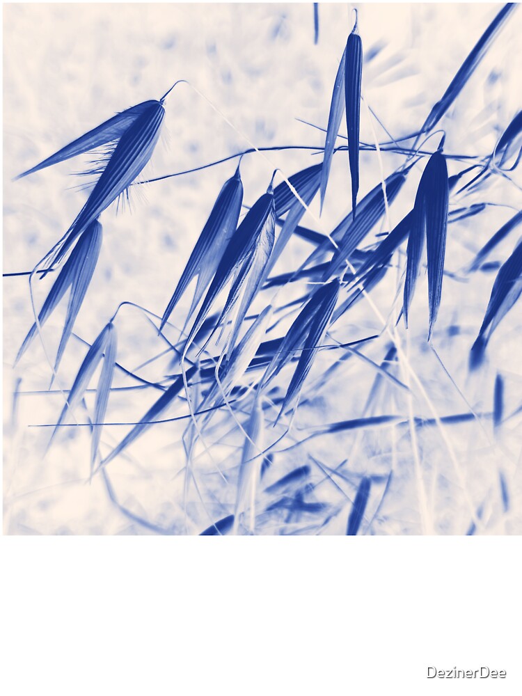 Dried Grass Seed Pods In Blue by DezinerDee