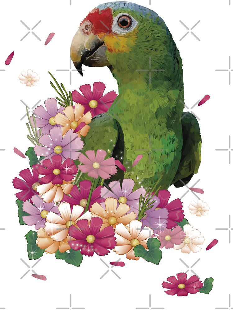 Red-fronted Amazon by obscurite