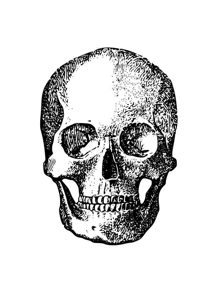 vintage skull line drawing by venomouspixie