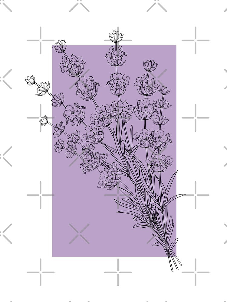 Lavender Flowers Botanical Drawing Line Art by dk-design85