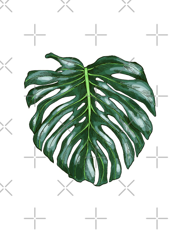 Monstera Tropical Green Leaf Realistic Drawing by dk-design85