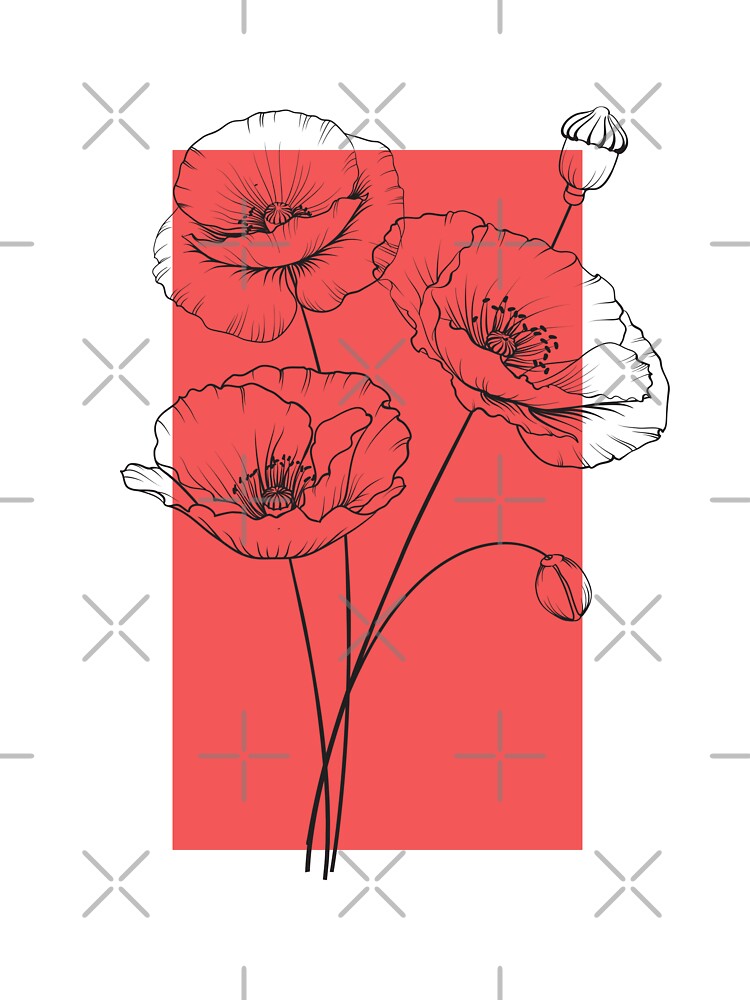 Poppy Flowers Botanical Drawing Line Art by dk-design85