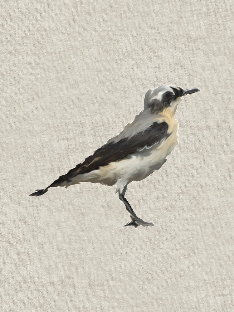 Tapuit by Rik Verbeek