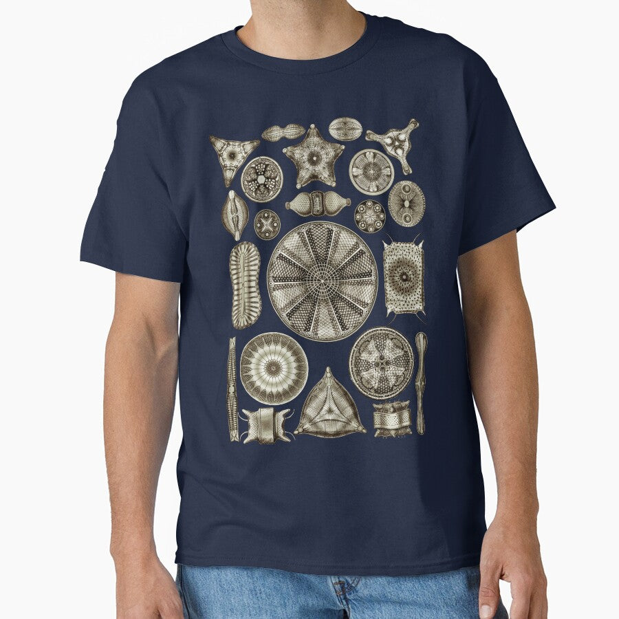 Ernst Haeckel Diatoms Vintage Brown by aimeewilson