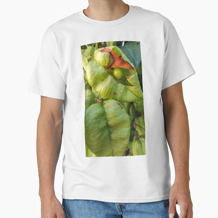 Happily Single Pea in a Pod by PaintThatSheep Art Shop
