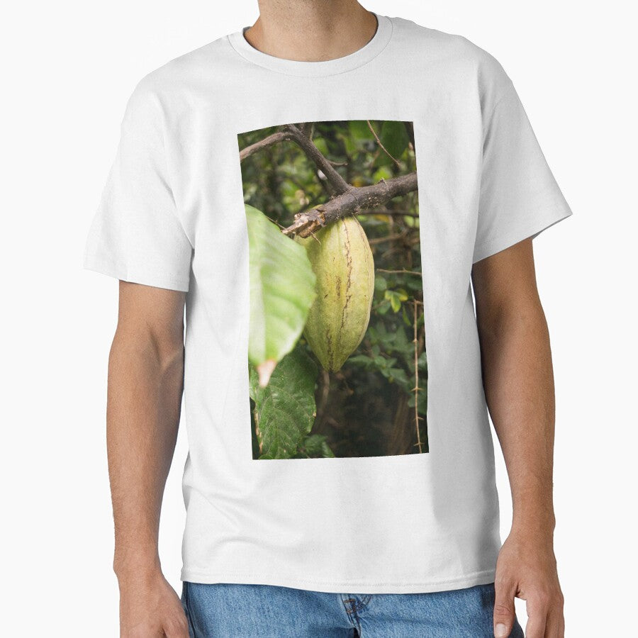 cacao pod by ROSE ANN BANILAR