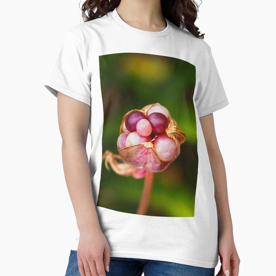 Lily Seed Pod Pink Jewels by Joy Watson - Natural Light Photography