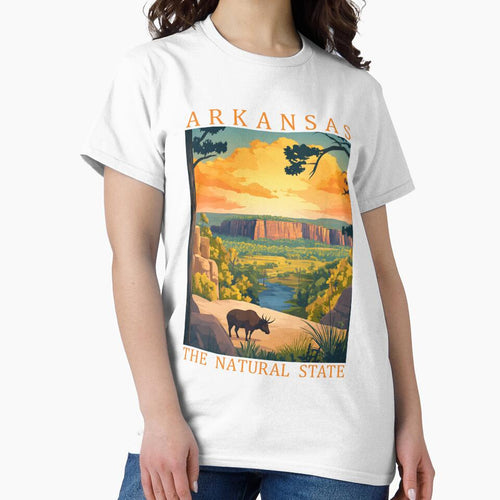 4 Arkansas Travel Poster by Lucy Goosy Art