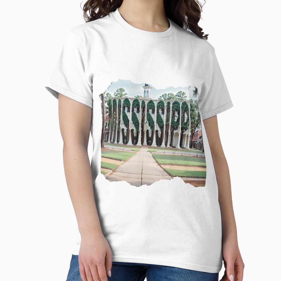 MISSISSIPPI 24 20 by maveluzone