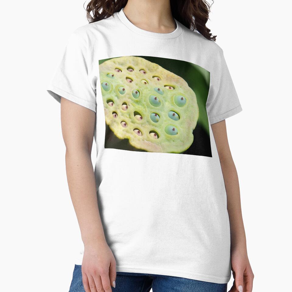 Lotus Pod by okomedesign