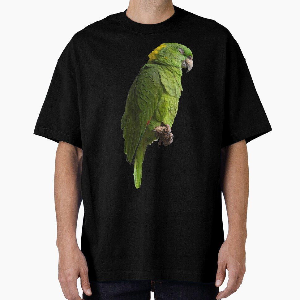 Cute Amazon Parrot by katiebca2