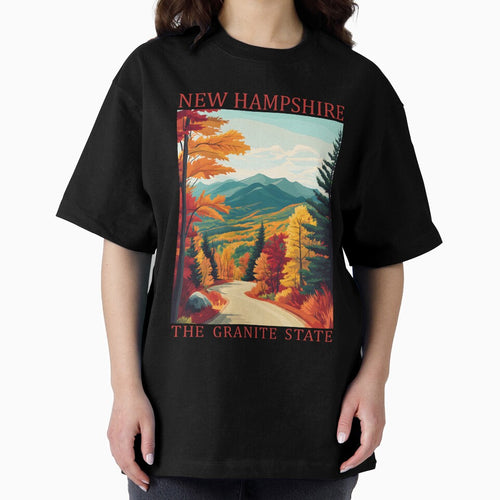 29 New Hampshire Travel Poster by Lucy Goosy Art