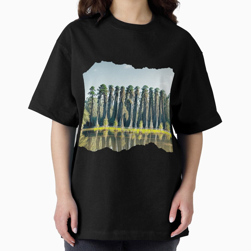 LOUISIANA 24 20 by maveluzone