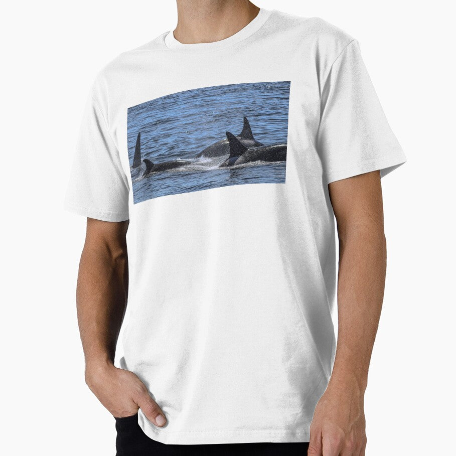 Orca Pod by Selena Rivera